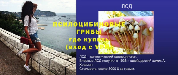 Альфа ПВП Магадан