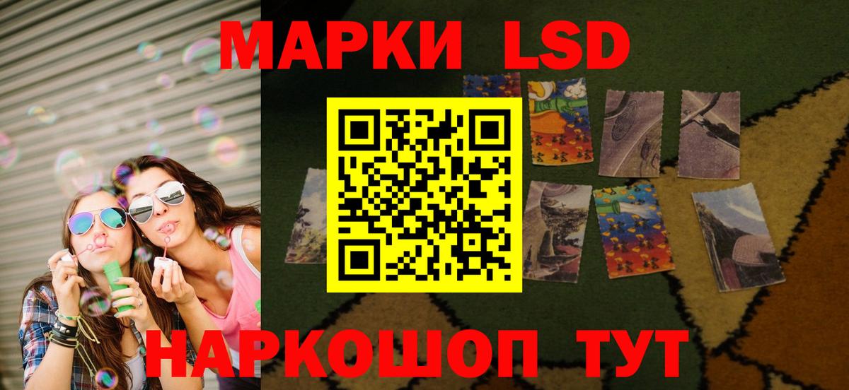LSD-25 экстази кислота  Вход с VPN  Новоалександровск  LSD-25 экстази  LSD-25 экстази кислота 