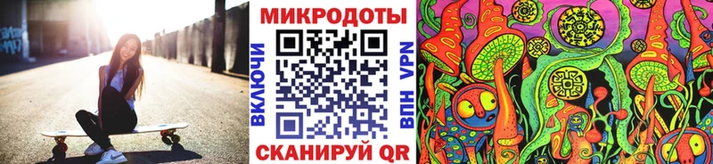 omg зеркало  купить наркотик  Новоалександровск  Псилоцибиновые грибы Psilocybe 