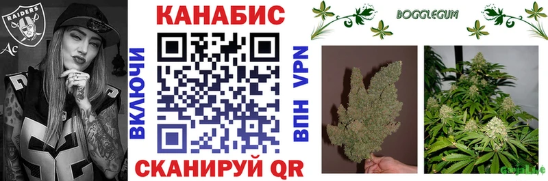Бошки марихуана THC 21%  купить закладку  блэк спрут tor  Новоалександровск 